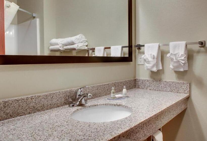 غرفة ديلوكس سرير كينج, Cobblestone Hotel & Suites   Charlestown