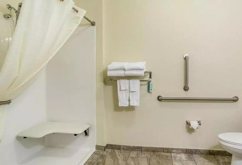身障者適用キングサイズベッドルーム, Cobblestone Hotel & Suites   Charlestown