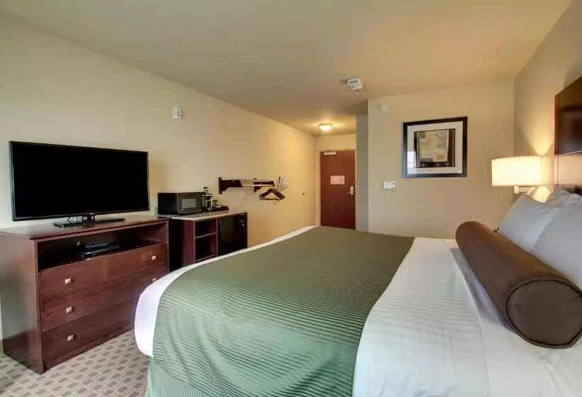 身障者適用キングサイズベッドルーム, Cobblestone Hotel & Suites   Charlestown