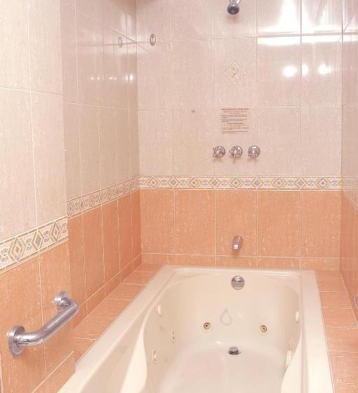 带大床的豪华间, Andros