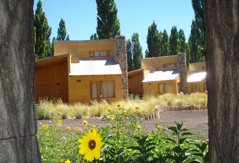 Бунгало Стандарт, Cabañas Monte Coiron