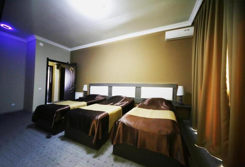 اتاق استاندارد سه نفره, Discovery