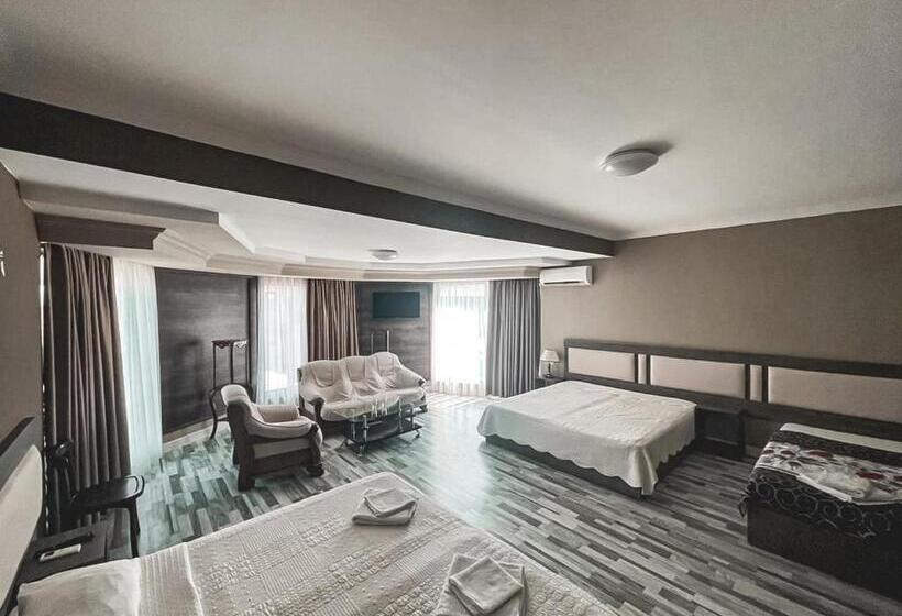 اتاق خانوادگی, Discovery