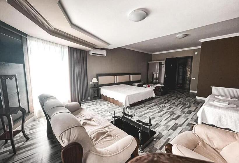 اتاق خانوادگی, Discovery