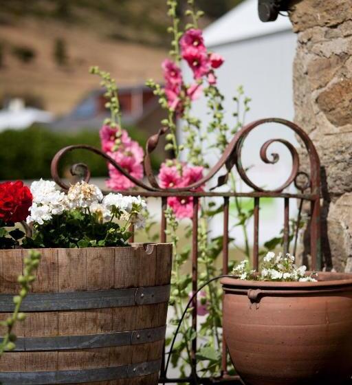 غرفة سوبيريور, Olivers Central Otago