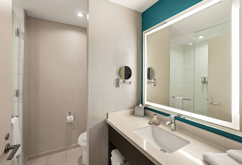 Номер Deluxe Адаптированный для Инвалидов, Sonesta Bee Cave Austin Hill Country