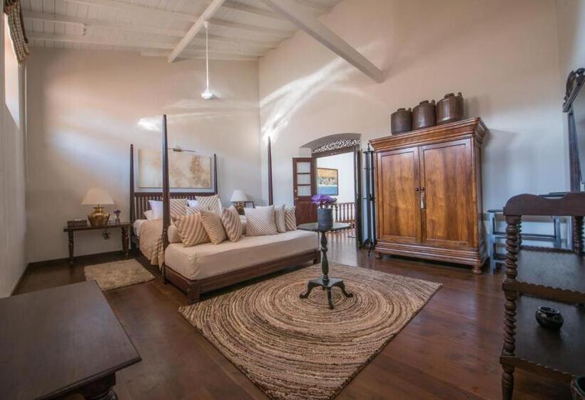 高级大房间, 42 Lighthouse Street