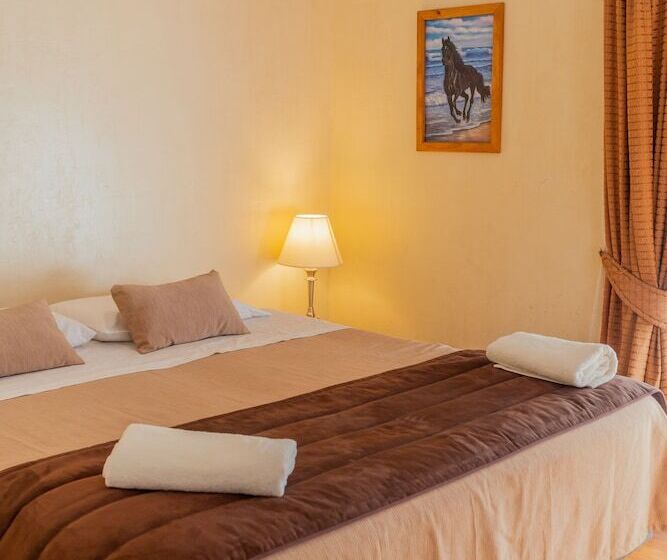 غرفة قياسية, Naturaleza Vertientes De Elqui