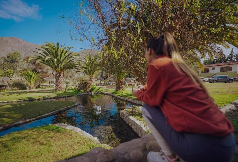 غرفة قياسية مطلّة علي البحيرة, Naturaleza Vertientes De Elqui