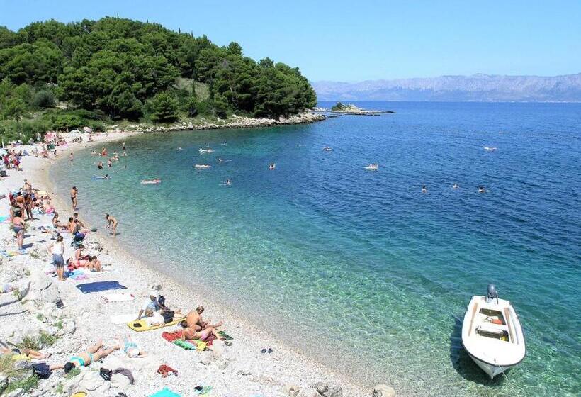 オーシャンビュースタンダードルーム, Guesthouse Aurora