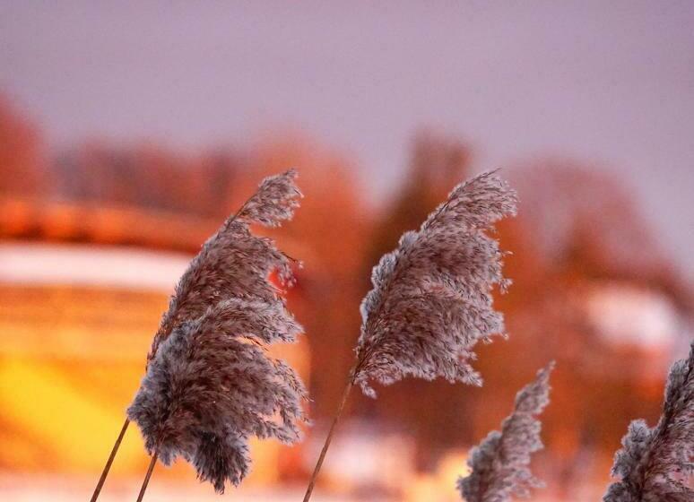 استودیوی استاندارد, Platinum Ostróda