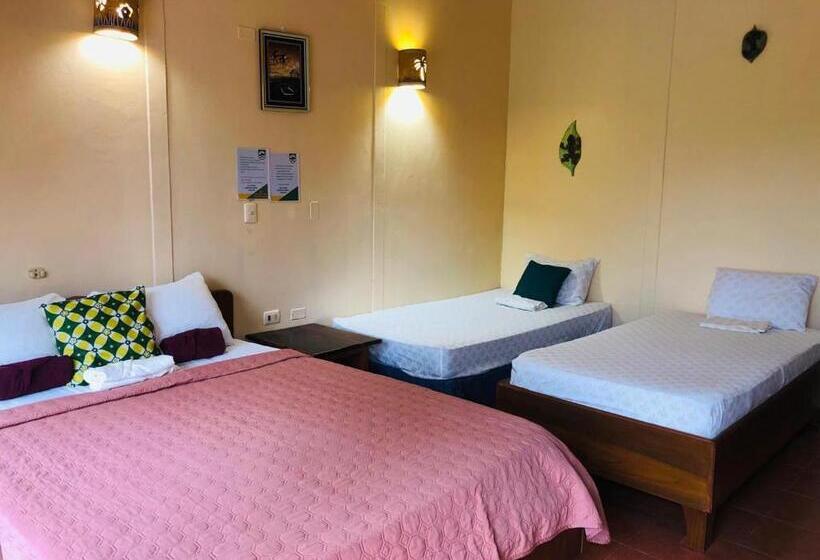 غرفة قياسية, Cocodrilo Sierpe