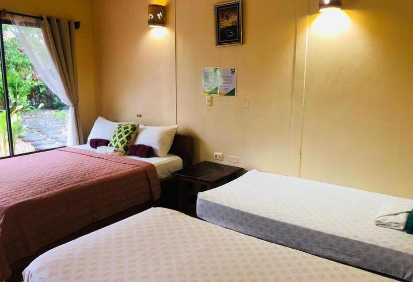 غرفة قياسية, Cocodrilo Sierpe