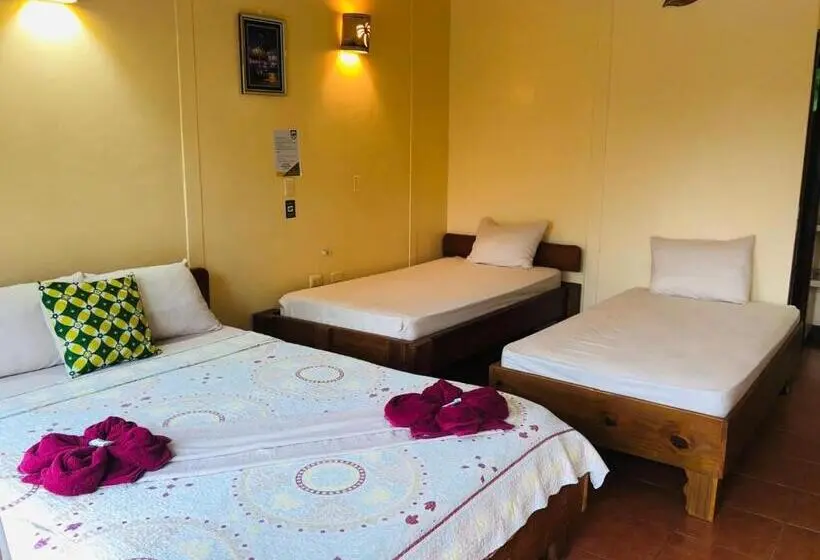 スタンダードルーム, Cocodrilo Sierpe