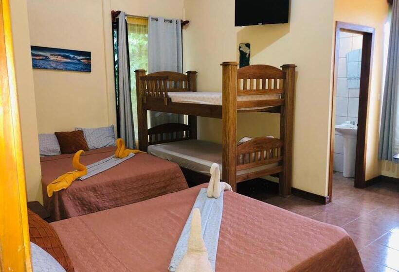 غرفة عائلية, Cocodrilo Sierpe