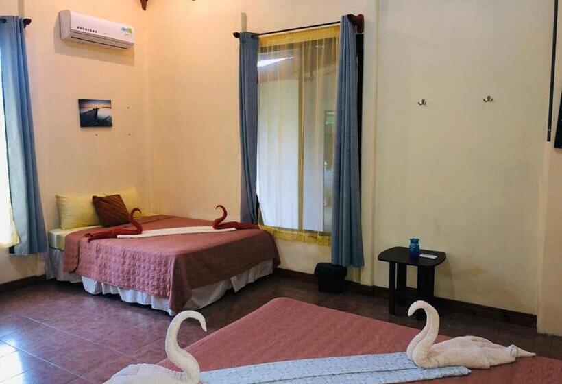 غرفة عائلية, Cocodrilo Sierpe