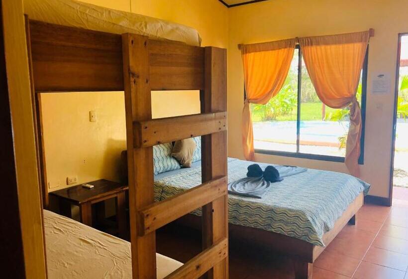 غرفة أساسية ثلاثية, Cocodrilo Sierpe