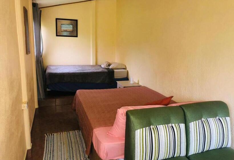 غرفة إقتصادية, Cocodrilo Sierpe