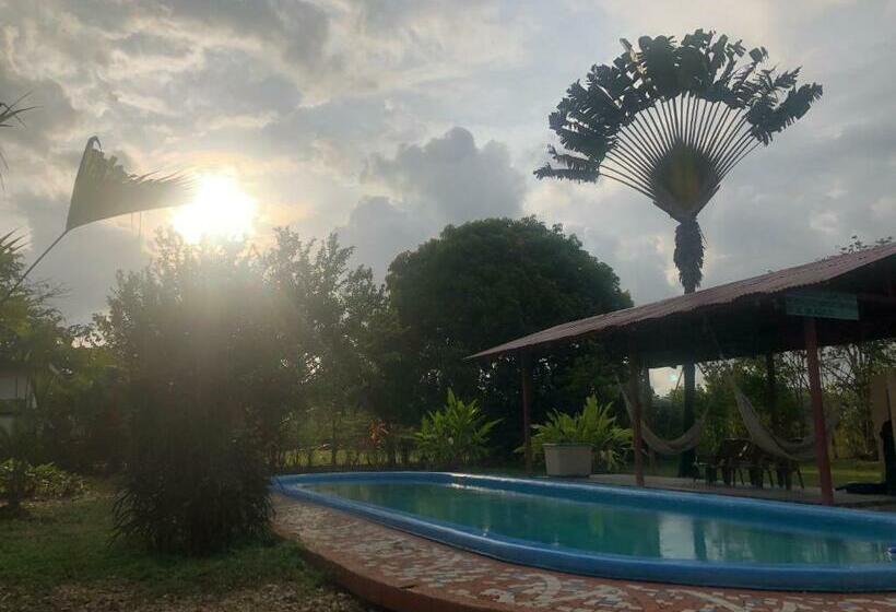 غرفة قياسية ثلاثية, Cocodrilo Sierpe