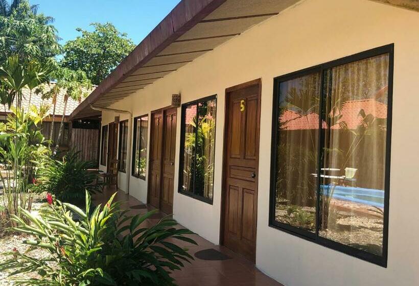 غرفة قياسية, Cocodrilo Sierpe