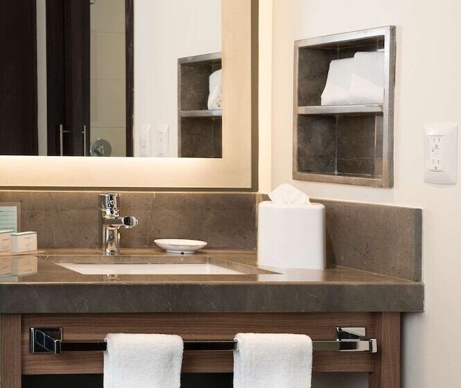 غرفه قياسيه سريرين مزدوجين, Hampton Inn By Hilton Leon Guanajuato