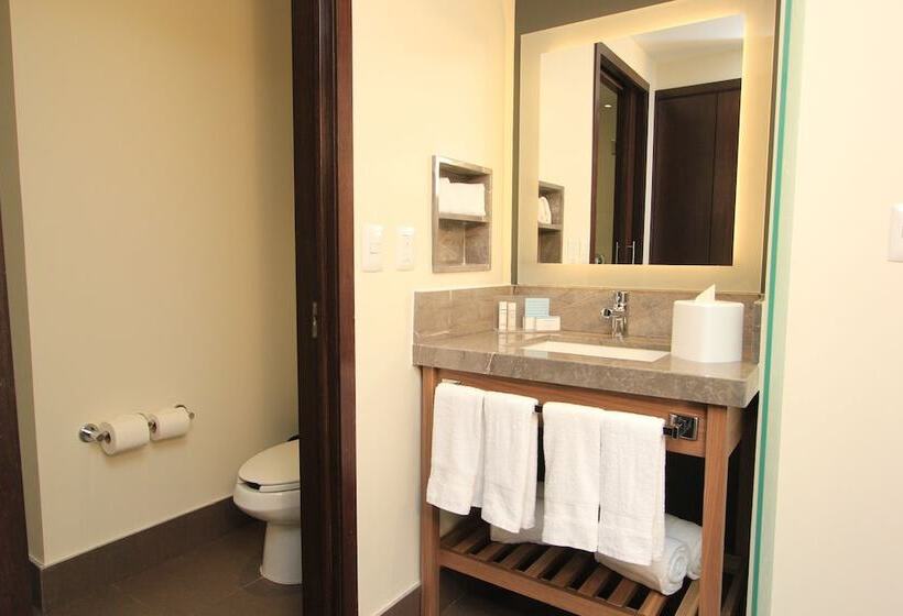 غرفه قياسيه سريرين مزدوجين, Hampton Inn By Hilton Leon Guanajuato