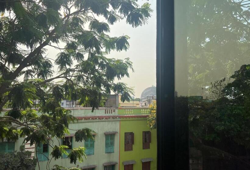 סוויטה, Aston International