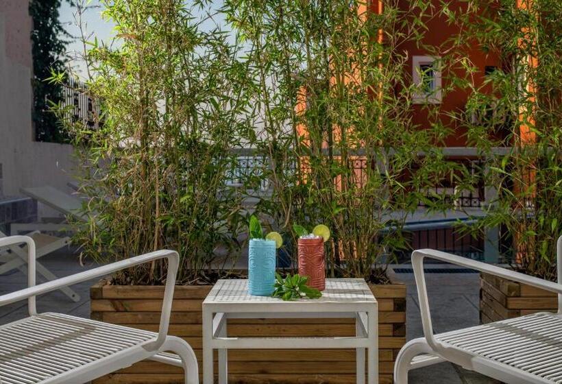 סוויטת ג'וניור, Villa Elite By Checkin Adults Only