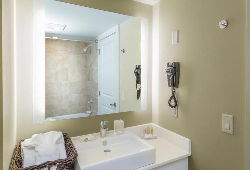 غرفة ديلوكس سرير ملكى, Living Water Resort & Spa