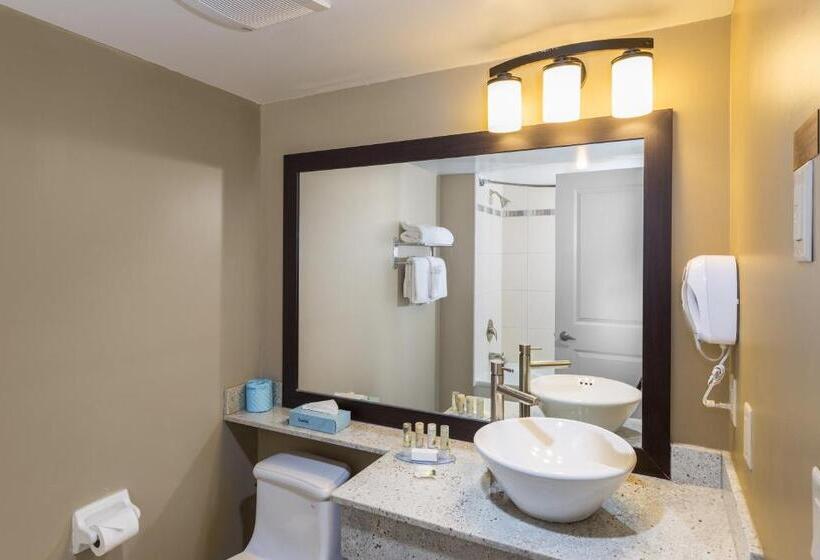 شقة غرفتين, Living Water Resort & Spa