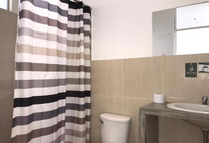 اتاق سوپریور چهار تخته, Ecolodge Huaca Piedra