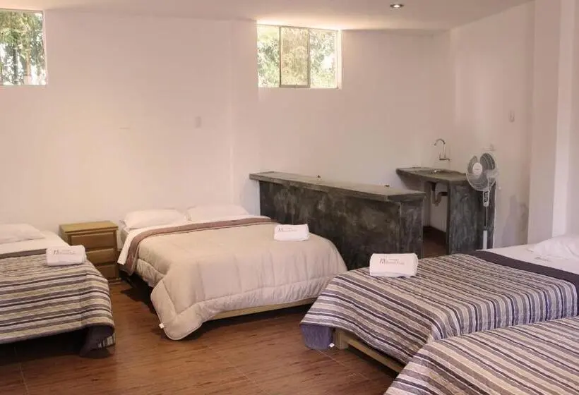 Superior Neljän Hengen Huone, Ecolodge Huaca Piedra