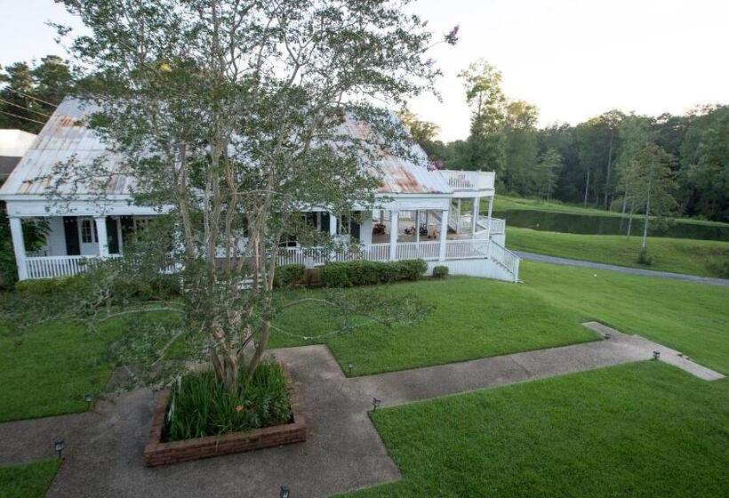 غرفة ديلوكس مطلة على البحيرة, Village Studios