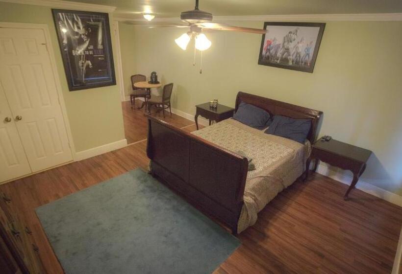 غرفة ديلوكس مطلة على البحيرة, Village Studios