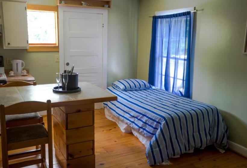 غرفة سوبيريور, Village Studios