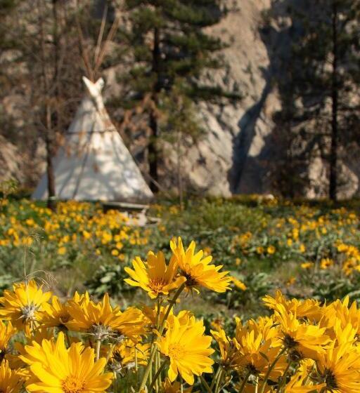 Standard Tent, Kumsheen Rafting Resort