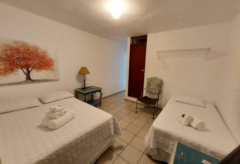 اتاق استاندارد سه نفره, Vieques Tropical Guest House