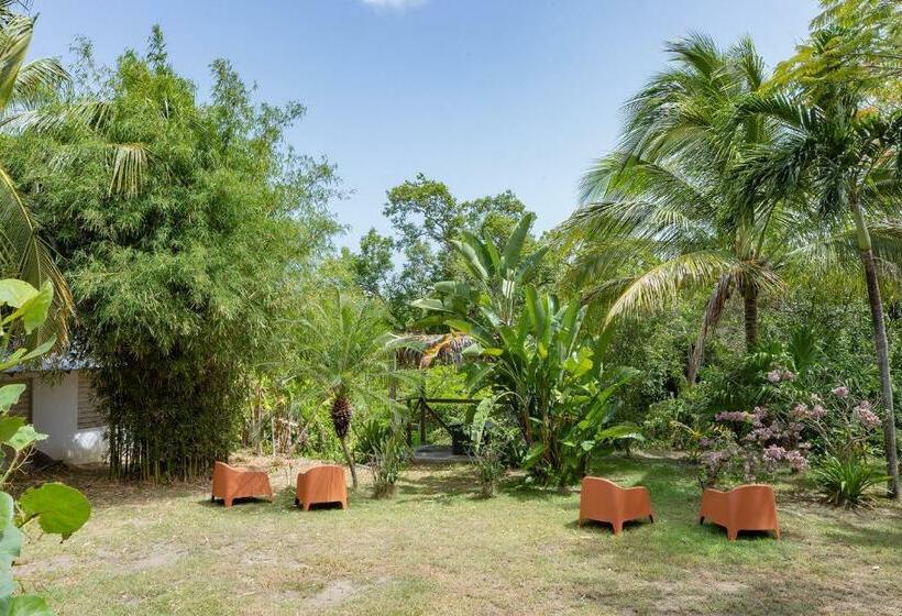 اتاق استاندارد سه نفره, Vieques Tropical Guest House