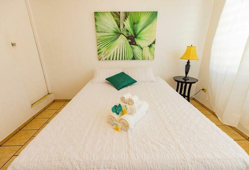 اتاق استاندارد, Vieques Tropical Guest House