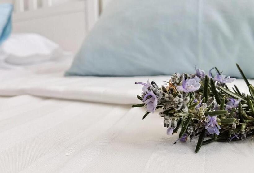 스탠다드 룸, Boutique Hotel Alegria