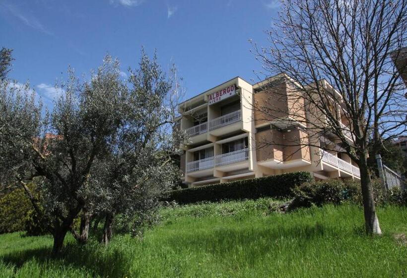 اتاق استاندارد, Albergo Nyers