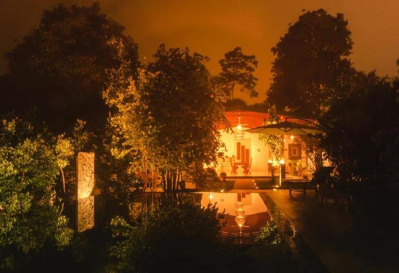 חדר דלוקס, Garcinia Leaf