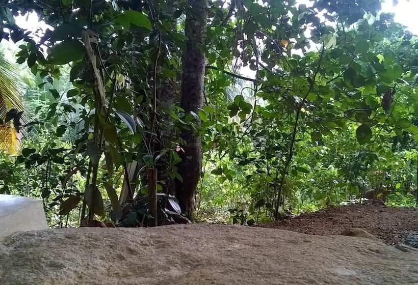 חדר דלוקס, Garcinia Leaf