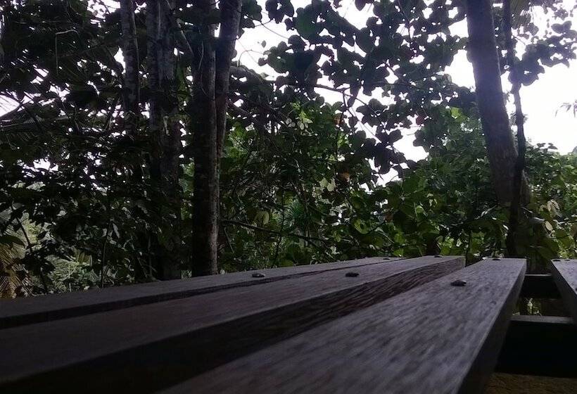 חדר דלוקס, Garcinia Leaf