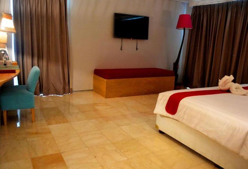 스위트, Koa D Surfer