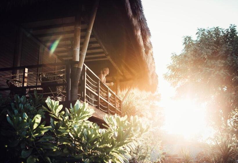 جناح مطلّ علي الحديقة, Suarga Padang Padang