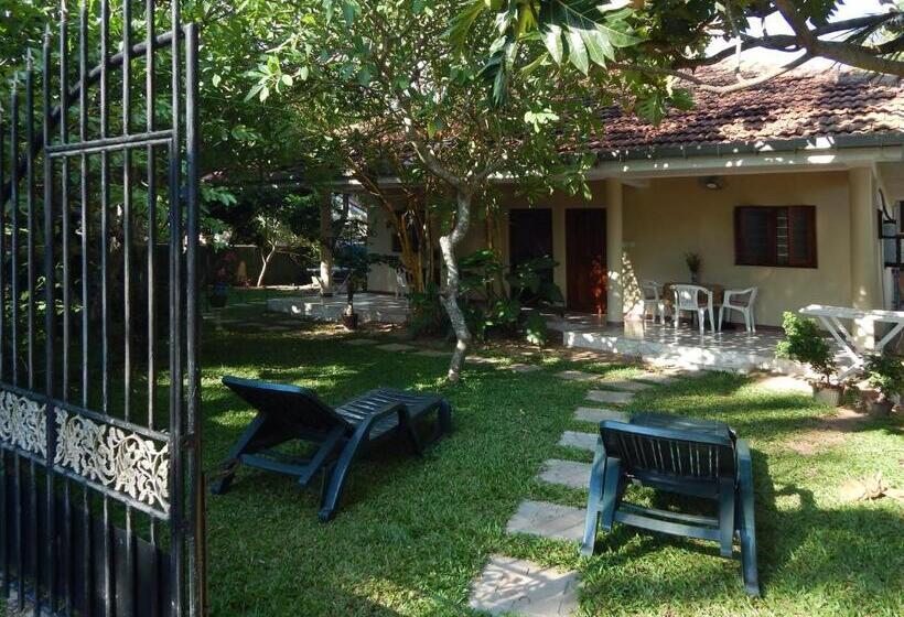 디럭스 룸, Rico Shadow Guest House