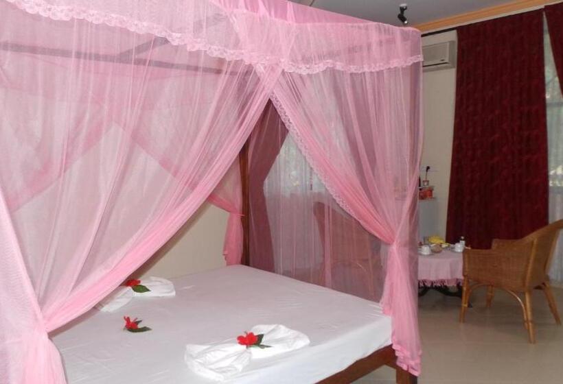 디럭스 룸, Rico Shadow Guest House