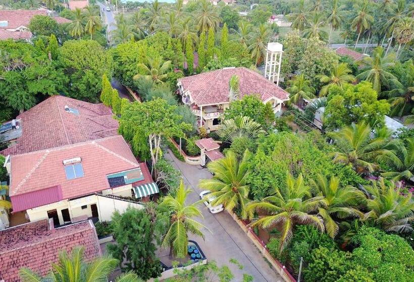 기본룸, Rico Shadow Guest House