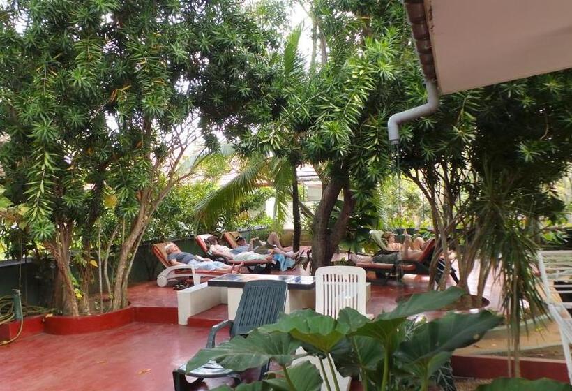 기본룸, Rico Shadow Guest House